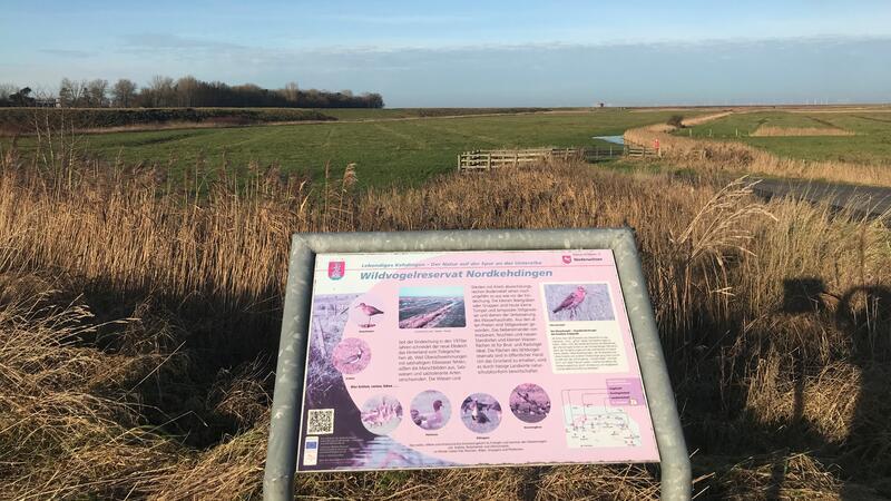 Blick auf das Naturschutzgebiet.