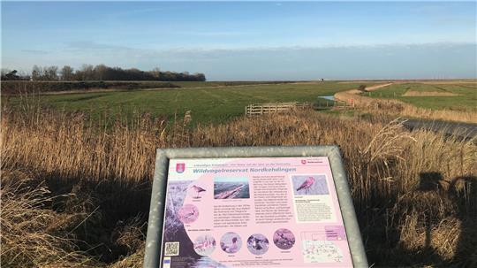 Blick auf das Naturschutzgebiet.