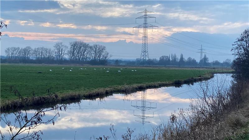 Blick auf das Naturschutzgebiet „Moore bei Buxtehude“.