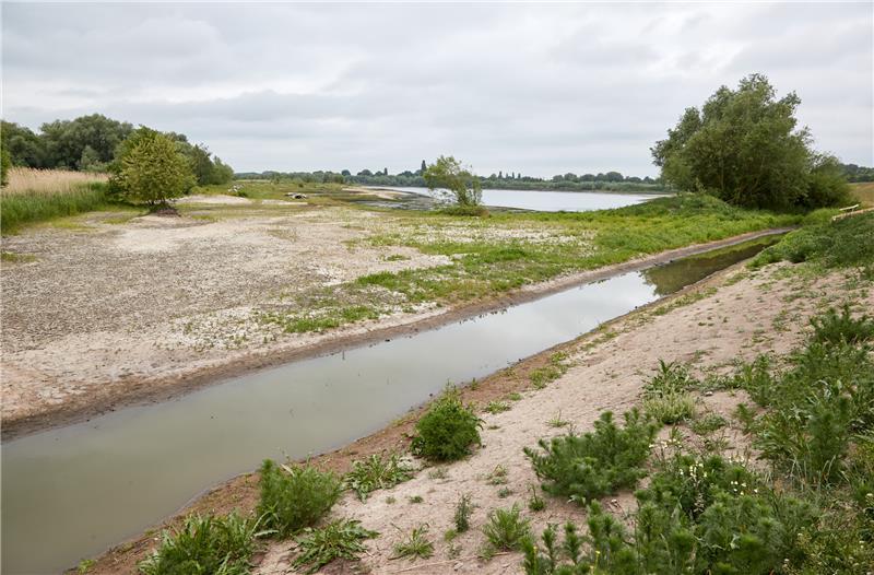 Blick auf das Tidegebiet Kreetsand während eines Pressetermins zur Fertigstellung des Tidegebiets. Der neu entstandene Flutraum soll den Erhalt der Tideelbe als Hafenzufahrt sichern und als Naturraum dienen. Foto: Georg Wendt/dpa