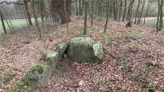 Blick auf das vor etwa 5500 Jahren errichtete Megalithgrab in der Nekropole bei Gut Daudieck, es stammt aus der Jungsteinzeit.