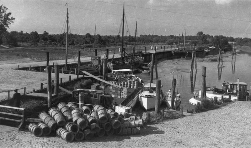 Jork hat spektakuläre Zukunftspläne für den Borsteler Hafen Blick auf den Borsteler Hafen vor der verheerenden Sturmflut von 1962. Dieser war bis in die 1950er Jahre ein wichtiger Umschlagplatz für Altländer Obst.