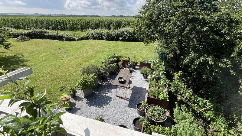 Blick auf den Gemüsegarten des Kochs und in die Obstplantagen südlich von Hinterbrack.