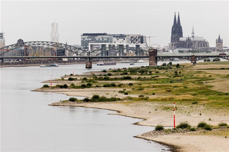 Klimawandel kostet in Deutschland jährlich 6,6 Milliarden Euro Blick auf den Rhein bei einem Pegel von 154cm - im Hintergrund ist der Kölner Dom zu sehen.