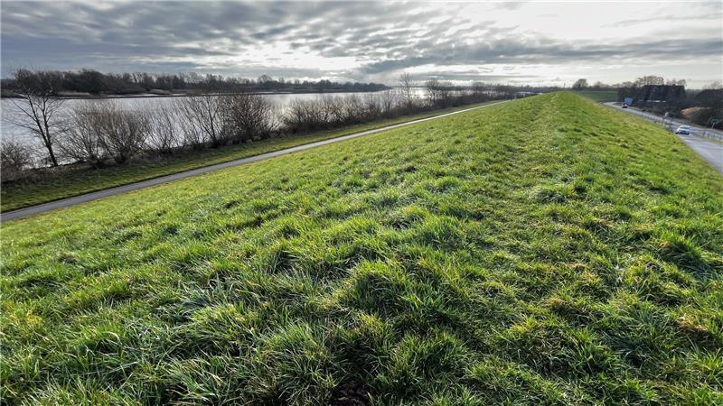 Altländer wollen Sand aus den Tiefen der Elbe für Deichbau nutzen Blick auf den Schardeich.