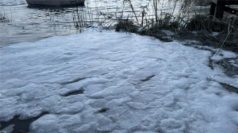 Rätselhafter Schaum auf Elbe ruft Umweltexperten auf den Plan Blick auf den Schaumteppich kurz nach Sonnenaufgang bei Flut.