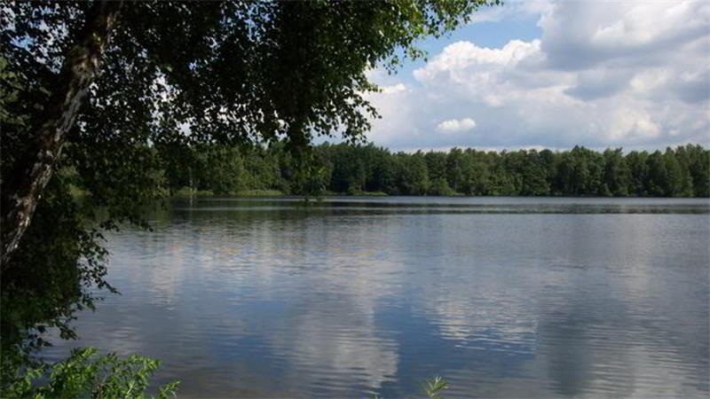 Blick auf den See im Großen Moor in Seevetal-Hörsten. (Archivbild)