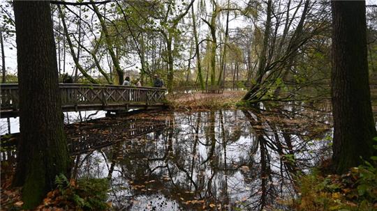 Blick auf den großen Teich im Park von Schloss Agathenburg: Die beiden Teiche stinken zum Himmel und sollen 2024 geräumt werden.