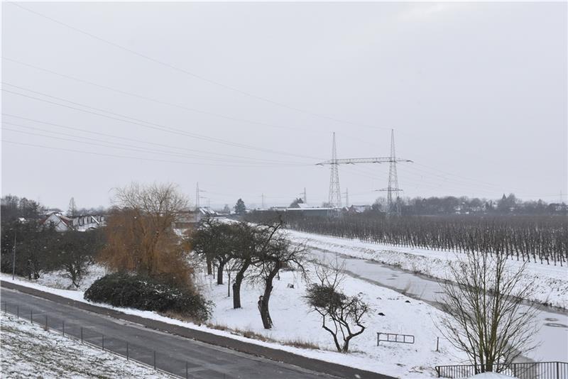 Blick auf den in den 1960er Jahren errichteten 50 Meter hohen Portalmast (rechts) in Hollern-Twielenfleth, der ersetzt werden soll. Links liegt das Feriendorf Altes Land, vorne das Gemeindegrundstück. Foto: Vasel