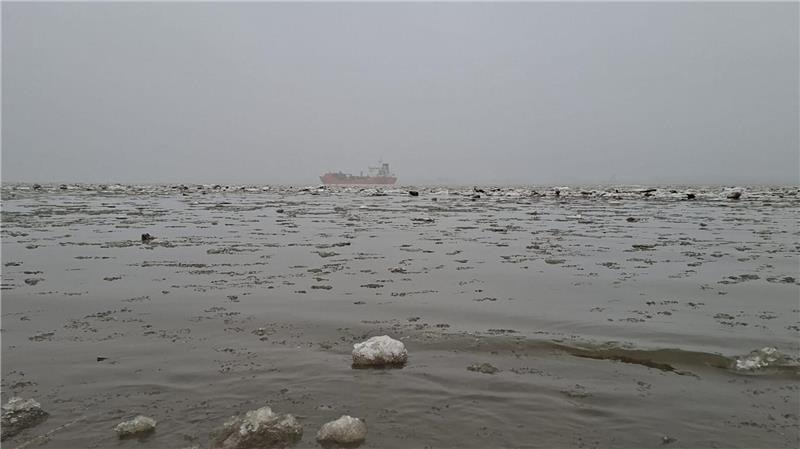 Blick auf die Elbe vom Bassenflether Strand aus.