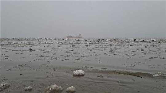Blick auf die Elbe vom Bassenflether Strand aus.