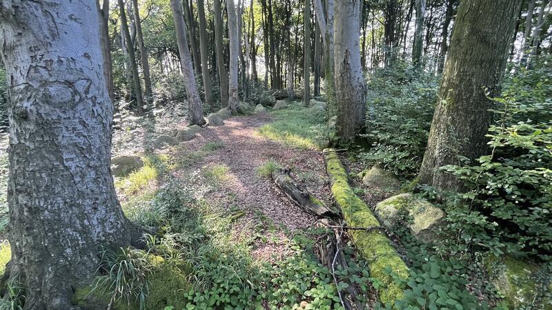Blick auf die Findlinge, die das Grab einfassten.