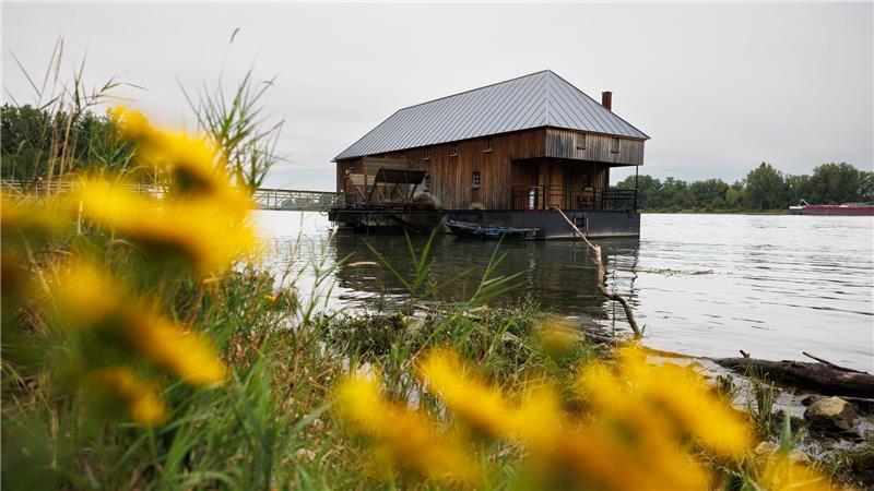 Bilder des Tages Blick auf die Ginsheimer Schiffsmühle, die auf dem Rhein schwimmt.