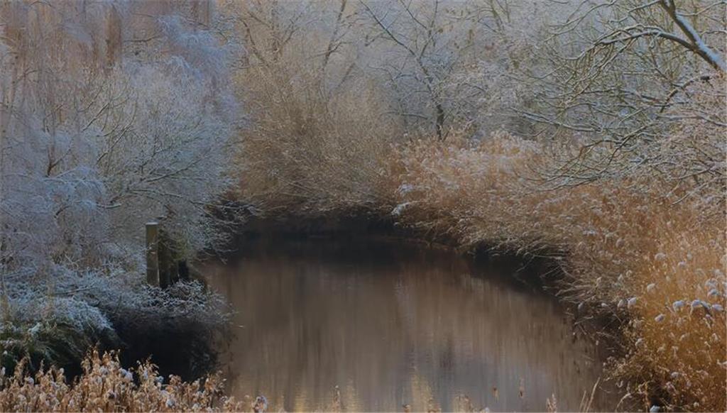 Blick auf die Lühe, eingesandt von Marco Senf.
