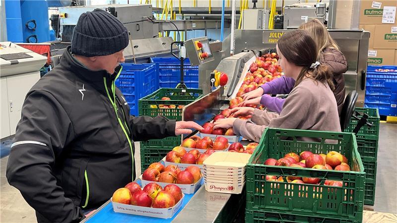 Blick auf die Mitarbeiter von Suhrs Obstversand in Oederquart beim Verpacken der Äpfel.
