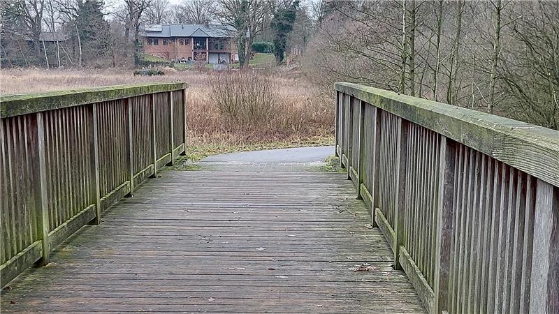 Blick auf die Radwegbrücke über die Aue an der K77.