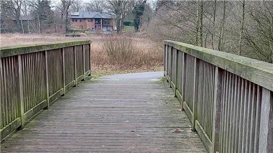 Blick auf die Radwegbrücke über die Aue an der K77.