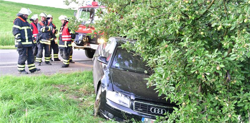 Landesstraße 140: Betrunkener verunglückt in Wetterndorf Blick auf die Unfallstelle in Wetterndorf: Die Audi-Limousine kommt an einem Obstbaum zum Stehen. Foto Beneke