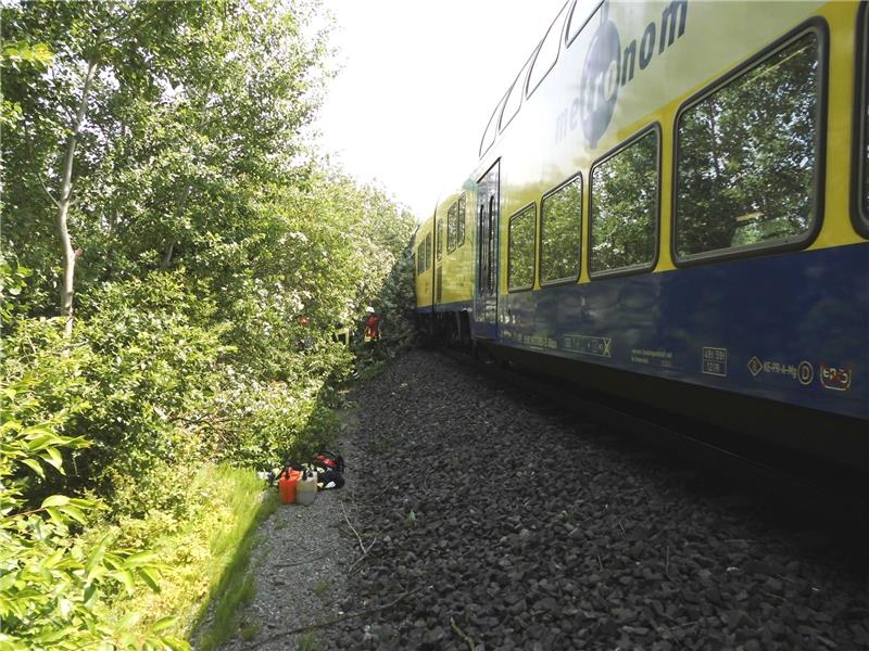 Blick auf die Unfallstelle nach dem Zusammenstoß: Dieser Zug der Privatbahn Metronom war zwischen Hechthausen und Burweg in einen Baum gerast, den die Einsatzkräfte zersägten.  Foto Feuerwehr Burweg
