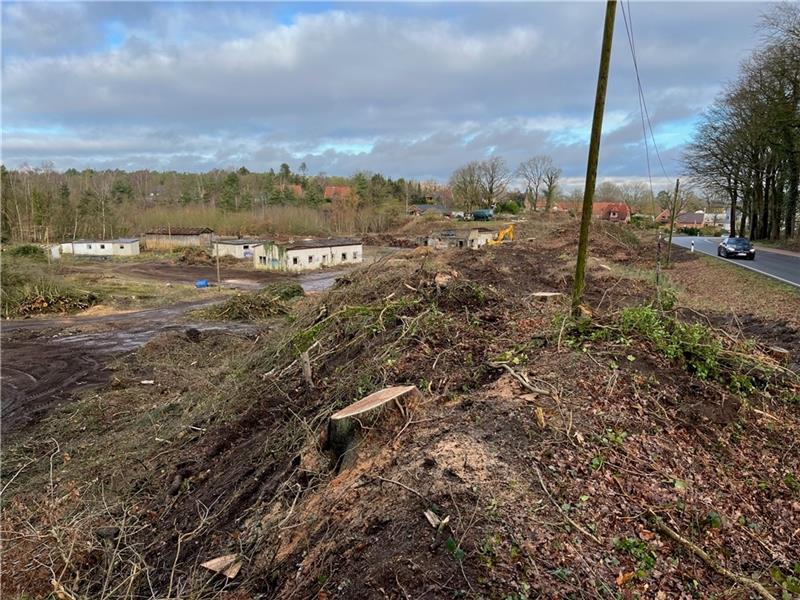 Baumfällungen: Naturschützer fordern Stopp der Dollerner Rodungsarbeiten Blick auf die abgesägten Bäume in der ehemaligen Kiesgrube am Sandbarg an der Altländer Straße (L 125 ) in Dollern. Rechts schließt der Wald oberhalb des Buschteichs an. Dieser liegt im Landschaftsschutzgebiet „Geestrand von Stade bis Horne