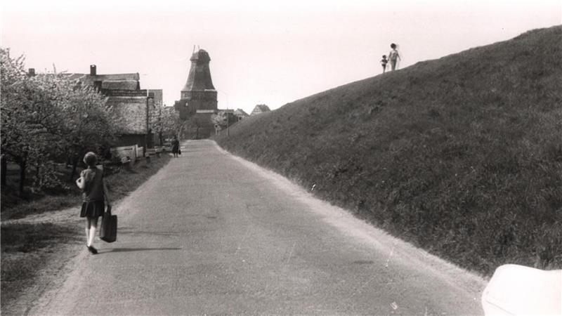 Schiefe Mühle von Borstel: Zieht hier bald wieder ein Restaurant ein? Blick auf die sanierungsbedürftige Borsteler Mühle und den alten Elbdeich in den 1960er/1970er Jahren. Der Deich ist ein Relikt der spätmittelalterlichen Hollerkolonisation des 12./13. Jahrhunderts.