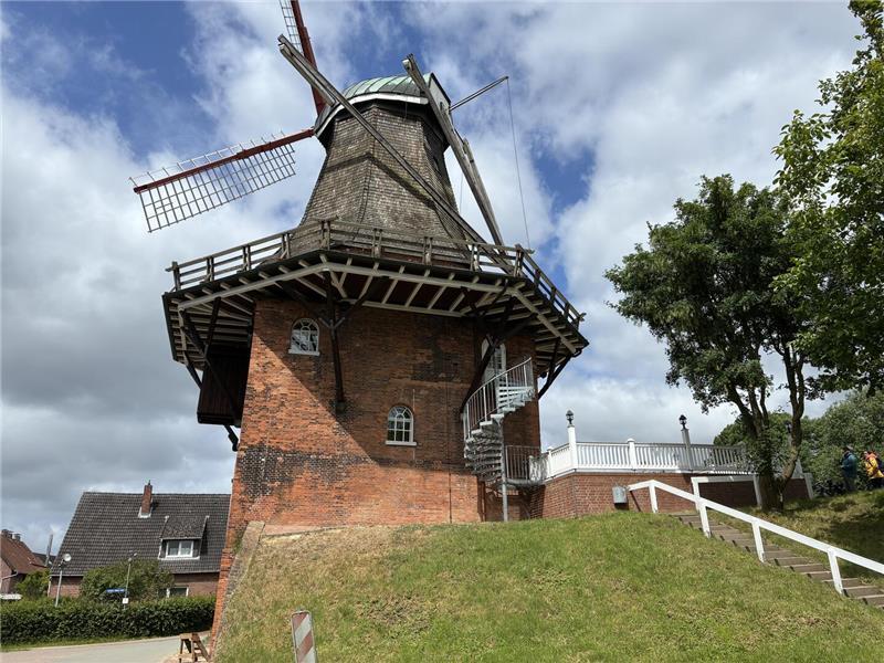 Altes Land: Wieder Spitzengastronomie in der Windmühle in Borstel? Blick auf die schiefe Mühle von Borstel.