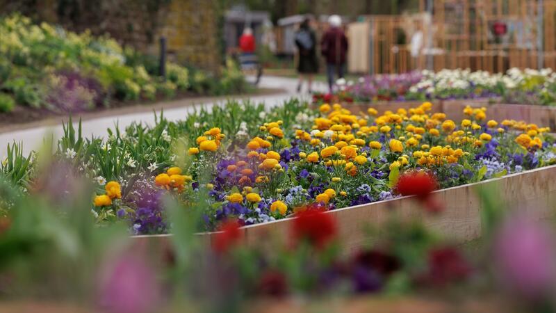 Blick auf ein Blumenbeet auf dem Gelände der Landesgartenschau 2023 in Höxter.