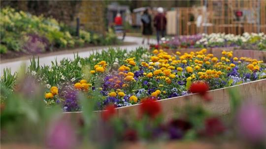 Blick auf ein Blumenbeet auf dem Gelände der Landesgartenschau 2023 in Höxter.