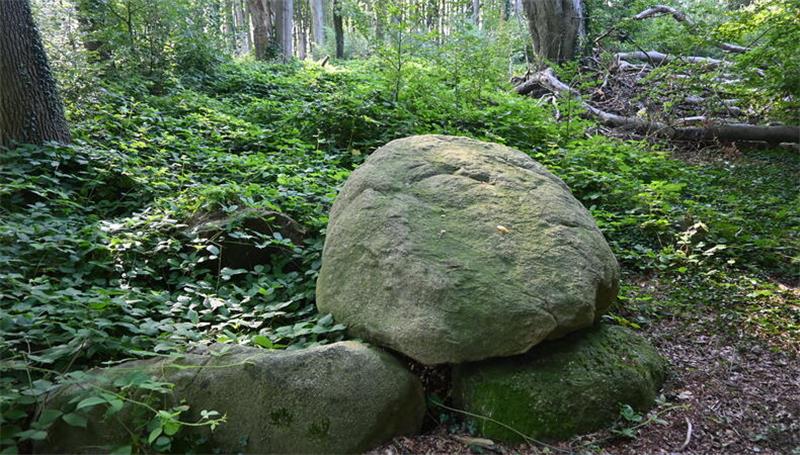 Blick auf eine der Steinkammern im Dohren.