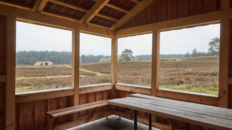 Posse um Schutzhütte in Lüneburger Heide Blick aus einer Schutzhütte in Kronsbergheide in die Heidelandschaft.