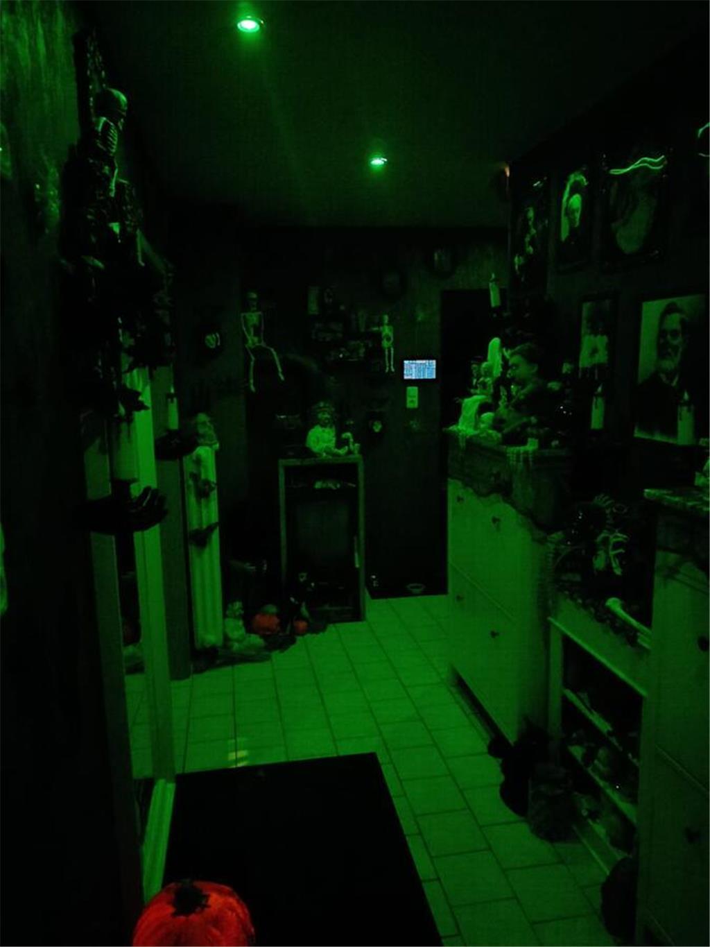Blick in den Flur des Spukhauses am Asseler Deich. Hier ist das ganze Jahr über ...