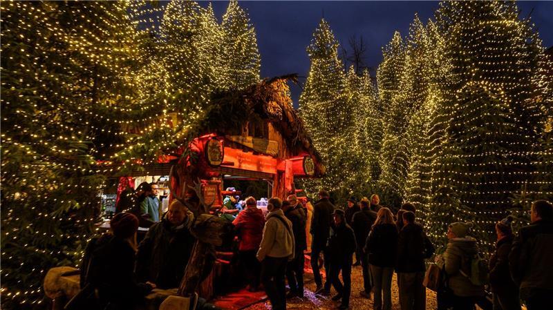 Europaweit top - Was der Weihnachtsmarkt Goslar bietet Blick in den Weihnachtswald auf dem Weihnachtsmarkt in Goslar.