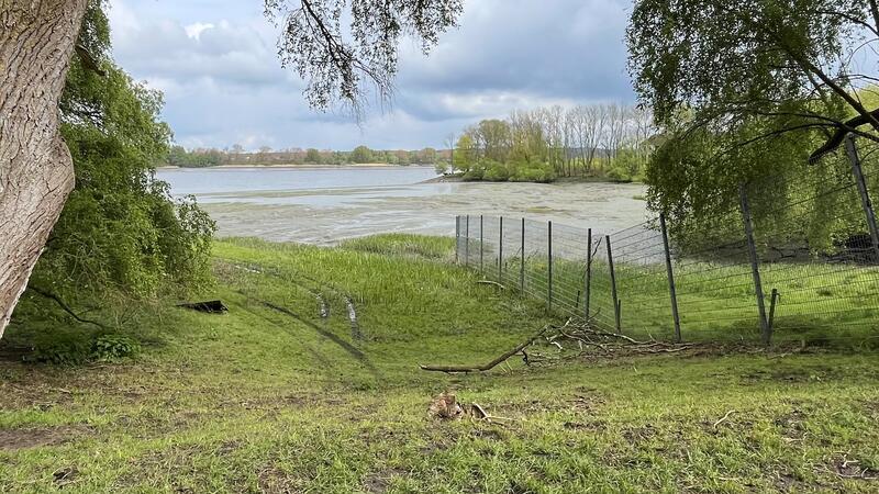Deichschau im Alten Land: Wolfspolitik und Öko-Ausgleich sorgen für Frust Blick ins das Gefängnis-Hafenbecken auf Hahnöfersand, hier könnte der Klei für den Deichbau und die Kleilager angelandet werden.