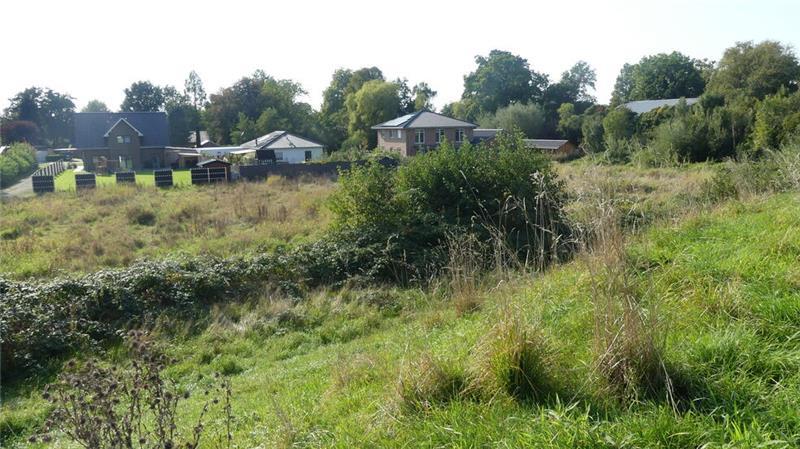 Blick vom Alten Deich in Dornbusch: Drei weitere Einfamilienhäuser sollen hier entstehen - aber noch ist hier Außenbereich. Fragen der Entwässerung sind ungeklärt.