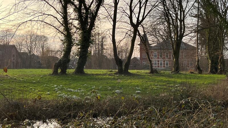 Auf den Spuren des Raubritters: Burginsel wird zum Erlebnispark für Zeitreisende Blick vom Schlosspark auf die Horneburger Burginsel, lange Zeit als Gartenland genutzt, und das Herrenhaus von 1886 (rechts). Links liegt das Handwerksmuseum (Pferdestall).