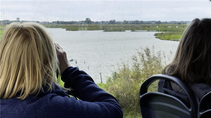 Blick vom „Vogelkieker“ in die Weiten des Nordkehdinger Vogelschutzgebietes.