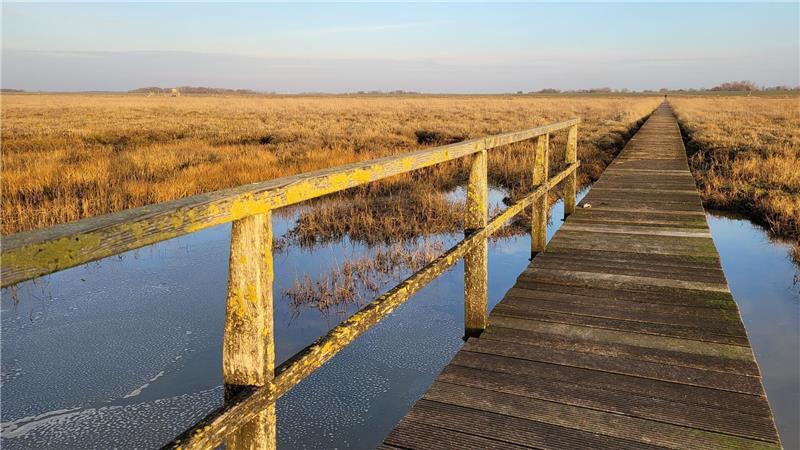 Darum droht dem FKK-Strand an der Nordsee jetzt das Aus Blick vom Wattenmeer in Richtung Deich. Der hölzerne FKK-Badesteg ist so in die Landschaft eingebettet, dass er aus der Ferne gar nicht zu sehen ist.