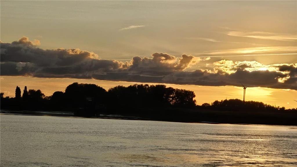 Blick von der Elbfähre - von TAGEBBLATT-Leserin Angelika.