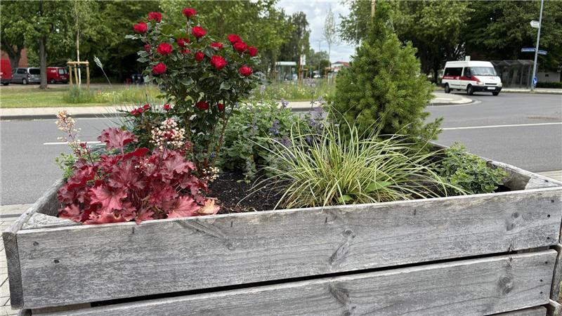 Ratten im Müll: Wie die Stadt Stade im Altländer Viertel aufräumt Blumen in Apfelgroßkisten sollen das Altländer Viertel verschönern und verhindern, dass Menschen ihren Wildmüll hier entsorgen. Auf dem Parkplatz am Haus der Begegnung mussten allerdings alle Kisten wieder abgebaut werden. Ratten hatten sich dort eingenistet.