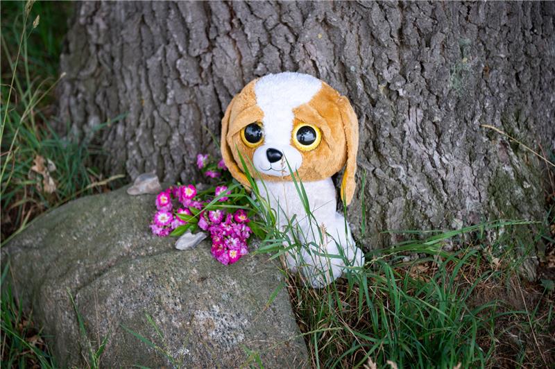 Blumen und ein Kuscheltier an einem Baum nahe der Unfallstelle. Bei einer Ausfahrt mit einem Radlader sind im niedersächsischen Toppenstedt südlich von Hamburg ein kleiner Junge und ein erwachsener Mann tödlich verunglückt. Zehn weitere Kinder im Alter von vier bis zehn Jahren wurden laut Feuerwehr verletzt, einige von ihnen schwer. Foto: Jonas Walzberg/dpa