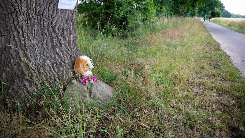 Blumen und ein Kuscheltier liegen an einem Baum nahe der Unfallstelle.