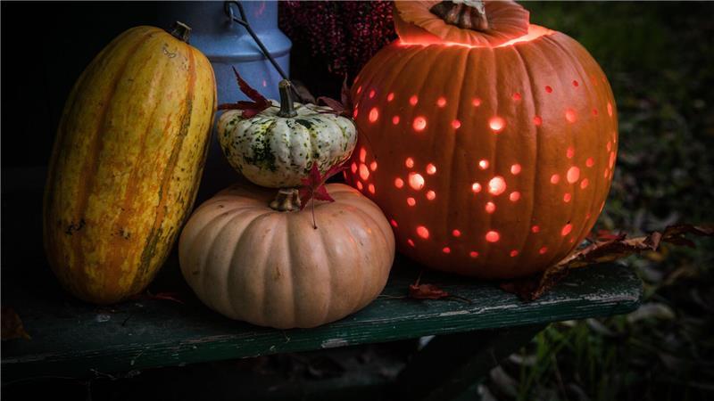 So einfach gelingt eine Herbst-Deko mit Kürbissen Blumenornamente kann man entweder in den Kürbis schnitzen oder mit dem einem Akkuschrauber kleine Löcher hineinbohren.
