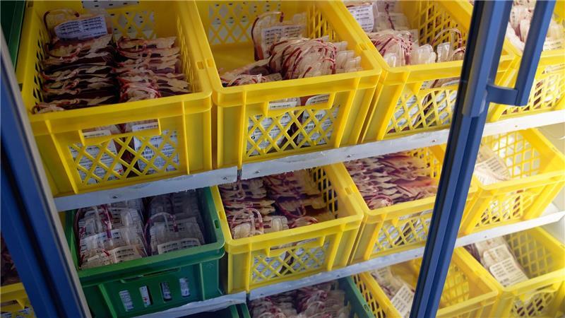 „Ein kleiner Piks“ - Junge Blutspender werden gesucht Blutpräparate liegen in Kühlschränken im Zentrallabor des DRK-Blutspendedienstes