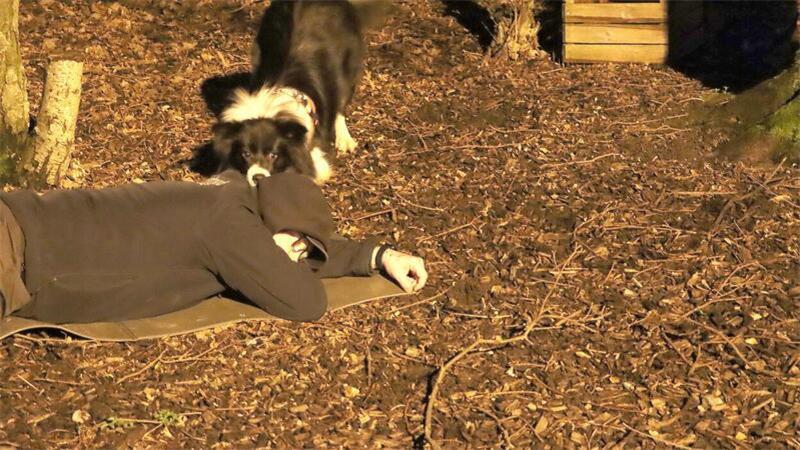 Border Collie Balu hat auf dem dunklen Trainingsgelände in Wilhelmsburg einen „Gesuchten“ gefunden und gibt seinem Herrchen durch Bellen das Signal.Foto: Hennings
