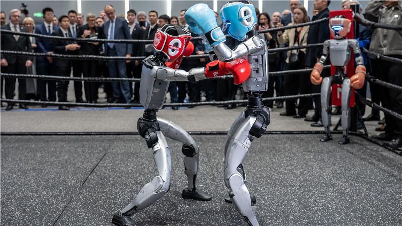 Boxkampf zwischen Robotern