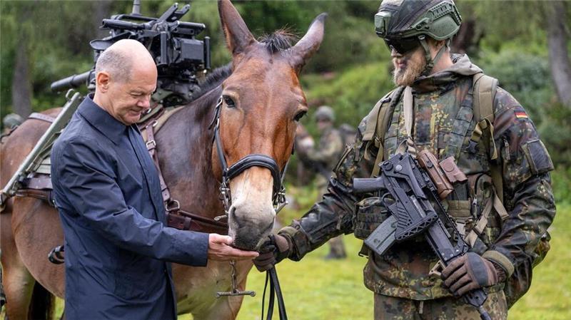 Ifo: Zwei Prozent des BIP für Verteidigung reicht nicht Braucht die Bundeswehr deutlich mehr Geld?