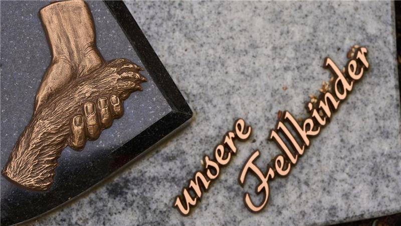 Bremerinnen und Bremen sollen sich bald mit ihrem Haustier begraben lassen dürfen. (Archivfoto)