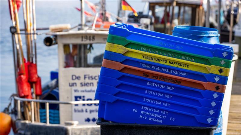 Bundesregierung will „fairen Kompromiss“ für Ostseefischer Brüssel will für den Hering keine Ausnahme mehr machen.
