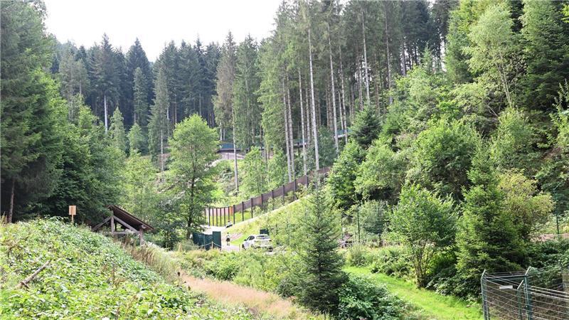 Braunbär Bruno im Museum: Freiheitssymbol und Schaustück Brunos Schwester Gaia lebt nach ihrem tödlichen Angriff auf einen Jogger im Bärenpark Schwarzwald. (Archivbild)