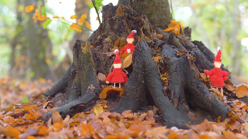 Bürger können Bäume am Weihnachtswaldweg schmücken Bürger sind aufgerufen, die Büsche und Bäume am Weihnachtswaldweg zu schmücken.